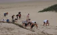 Beach Boot Camp