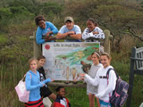 Grade 6: Dassie Trail