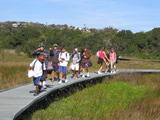 Grade 6: Dassie Trail